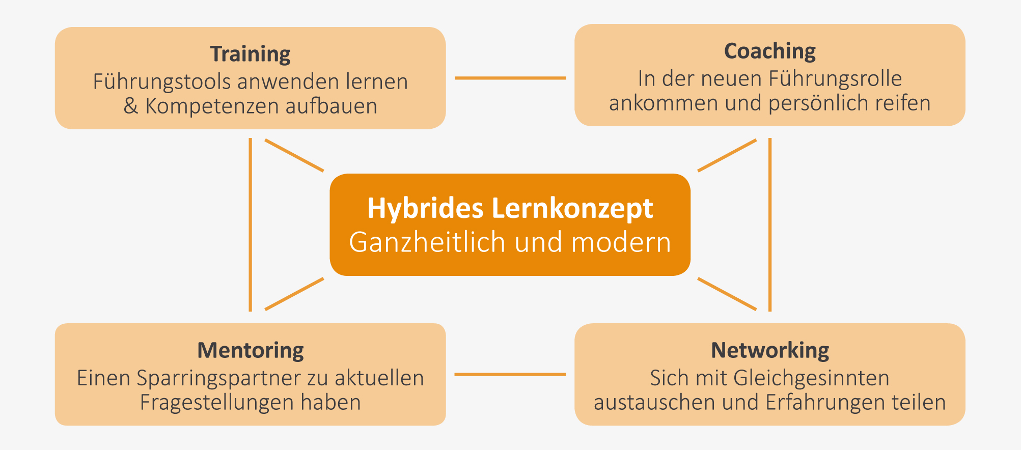 Hybrides Lernkonzept | Training | Coaching | Mentoring | Networking